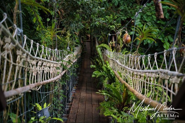 Thailand Hängebrücke zum Baumhauscafe